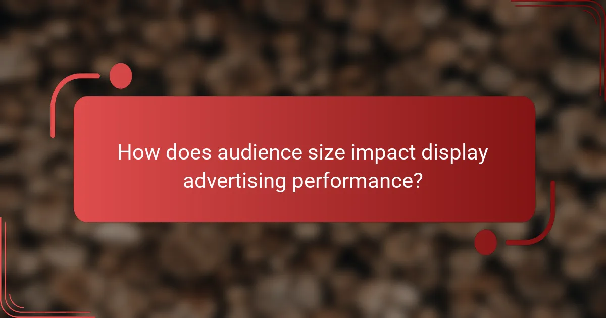 How does audience size impact display advertising performance?