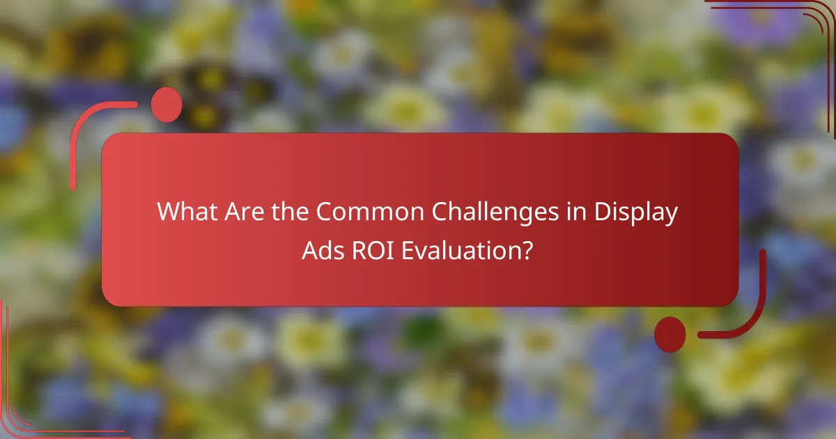 What Are the Common Challenges in Display Ads ROI Evaluation?